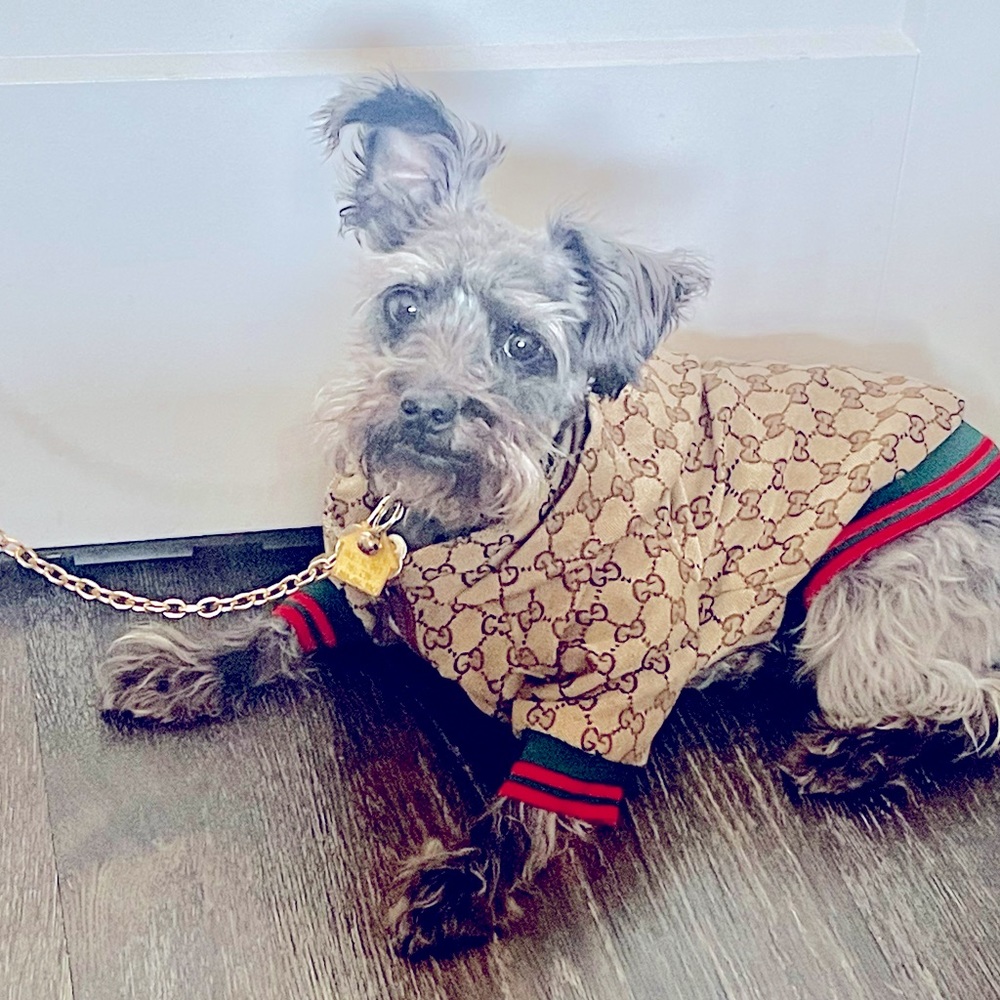 Mini Dog Jacket 🤎